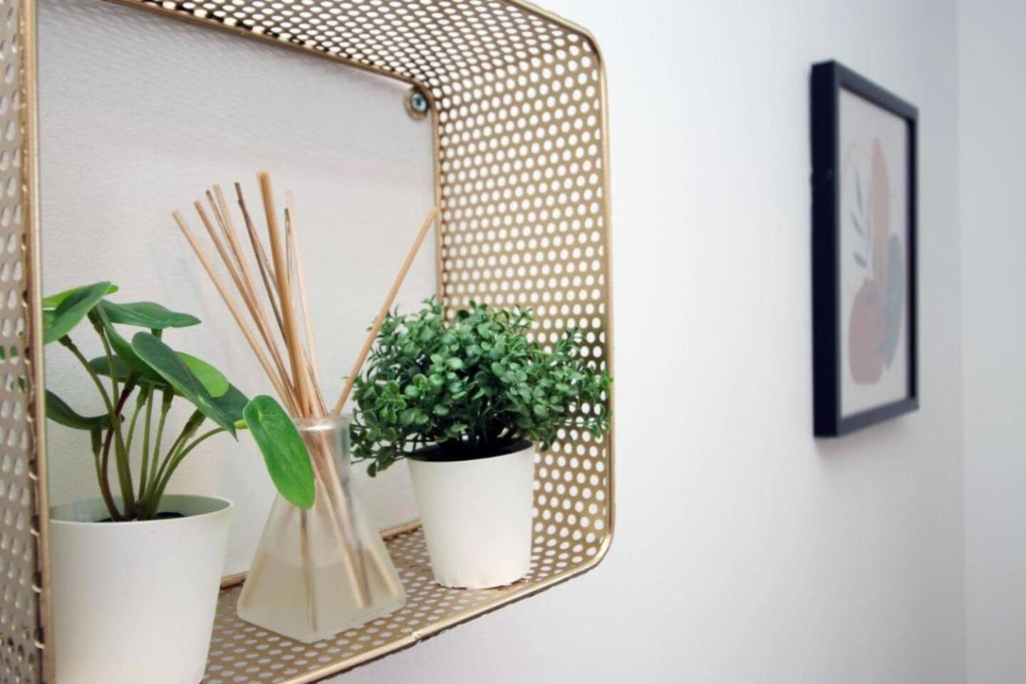 Apartment Cohost Partners | Free Parking | 2br | Smart Tv